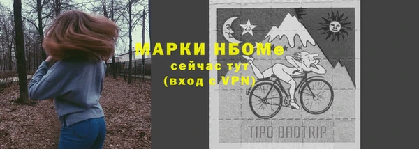 шишки Покачи