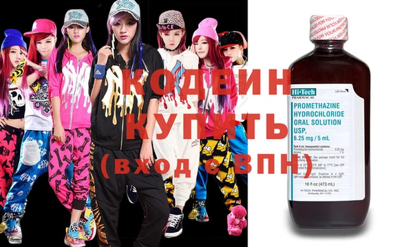 шишки Покачи