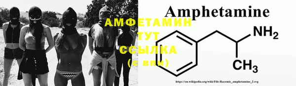 шишки Покачи