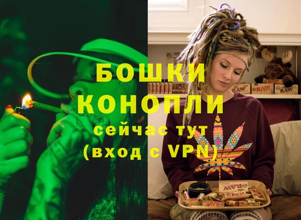 шишки Покачи