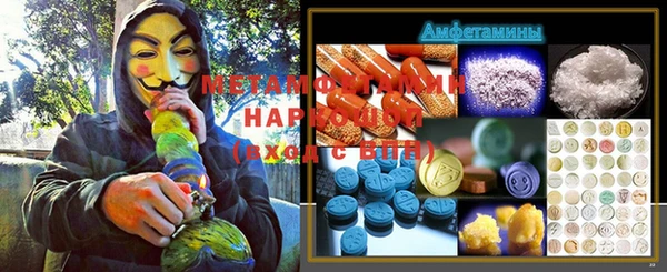 шишки Покачи