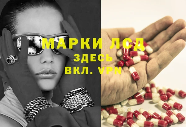 ГАЛЛЮЦИНОГЕННЫЕ ГРИБЫ Покров