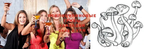 ГАЛЛЮЦИНОГЕННЫЕ ГРИБЫ Покров