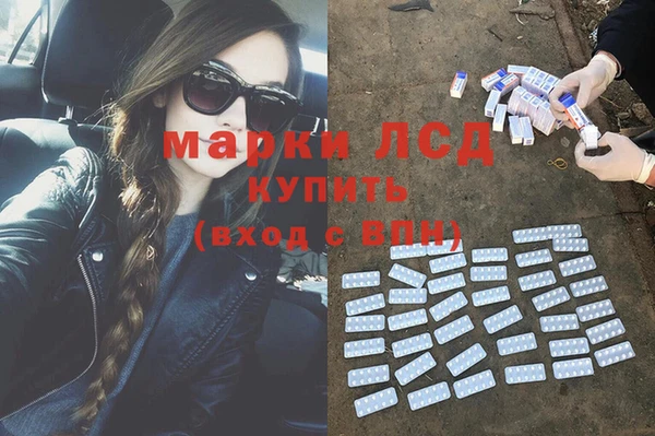 шишки Покачи