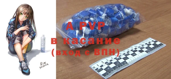 шишки Покачи
