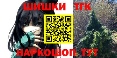 соль ск Дубна
