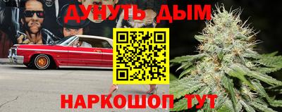 соль ск Дубна