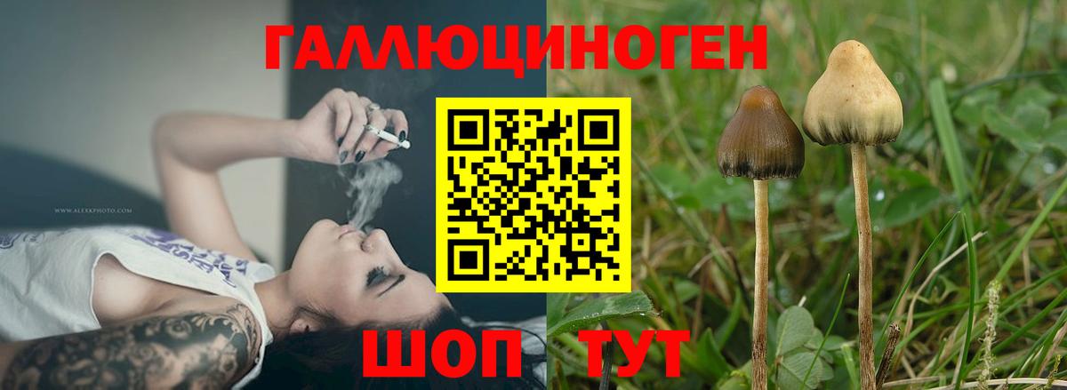 Калуга  Галлюциногенные грибы прущие грибы  Вход с VPN 